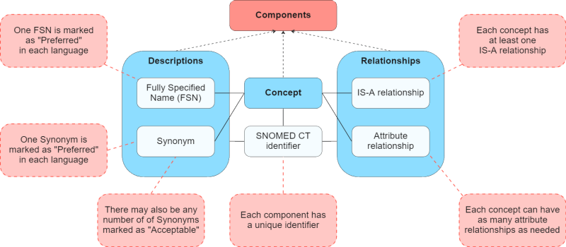 What Is SNOMED CT – An Introduction